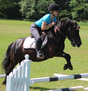 Rocky actually liked jumping.